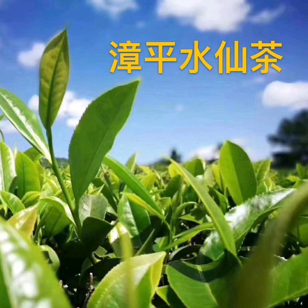 余生随❤️