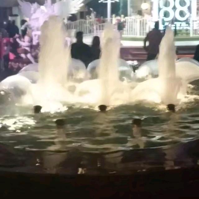 一步一生