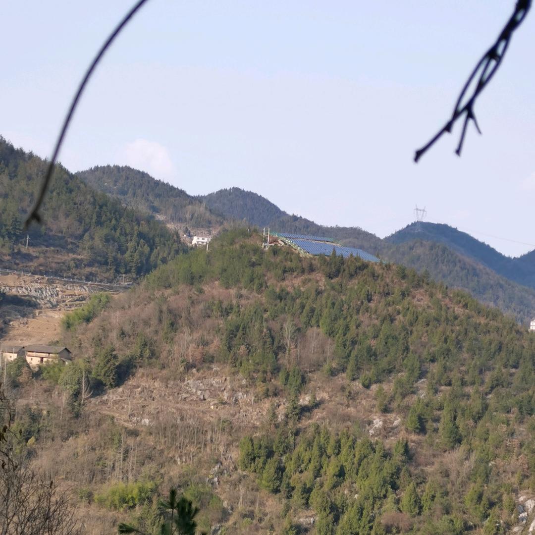 醒