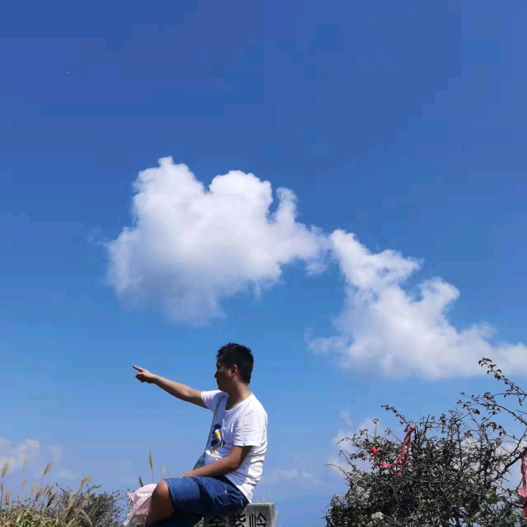 不是贾大师