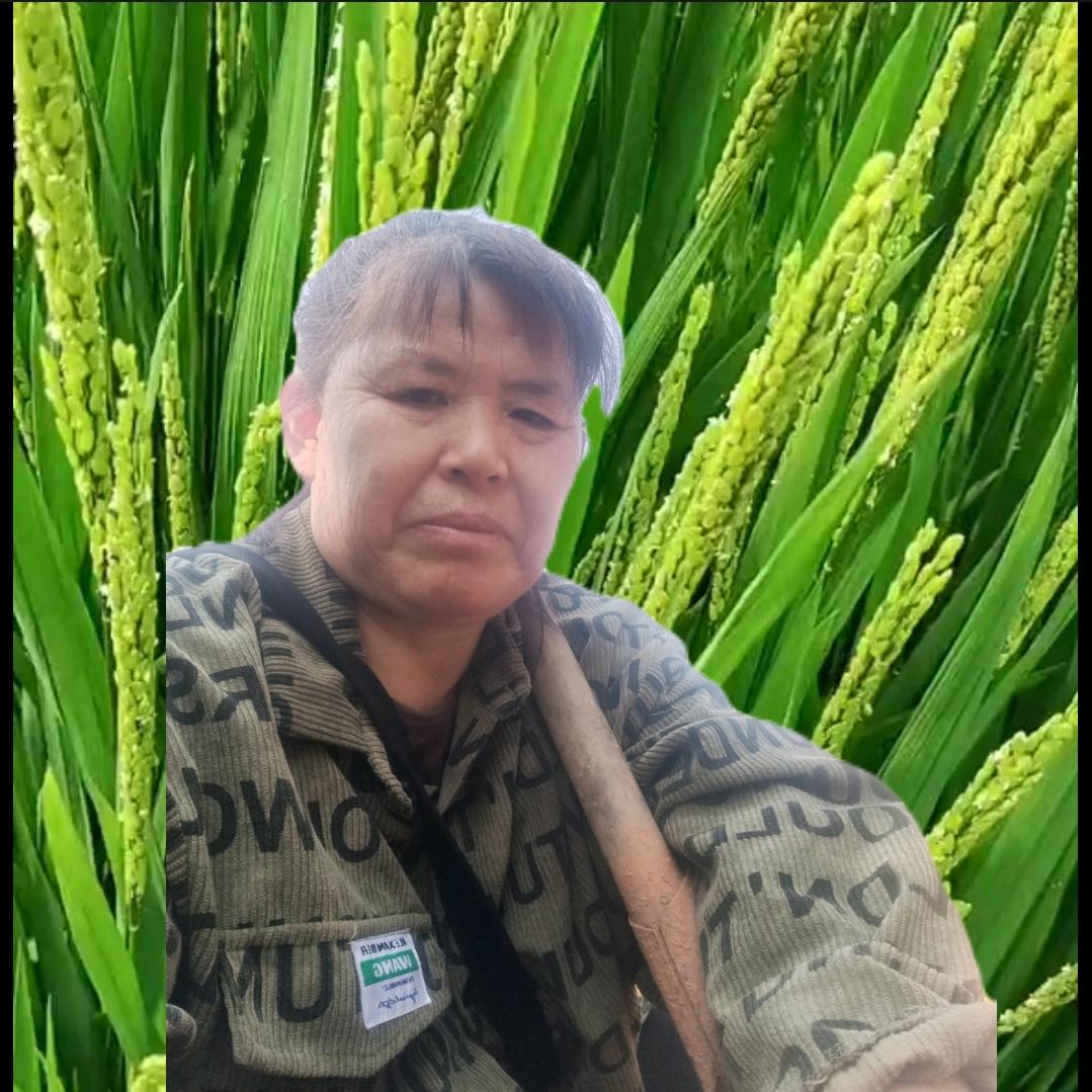 小草根