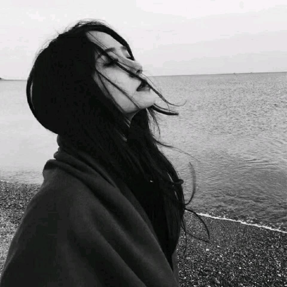 🌹🌹🌹