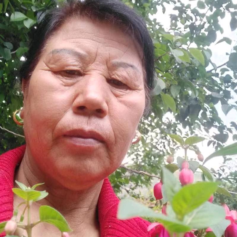 老农民焕英乡、