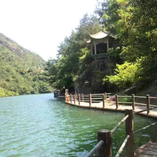 心随舞动