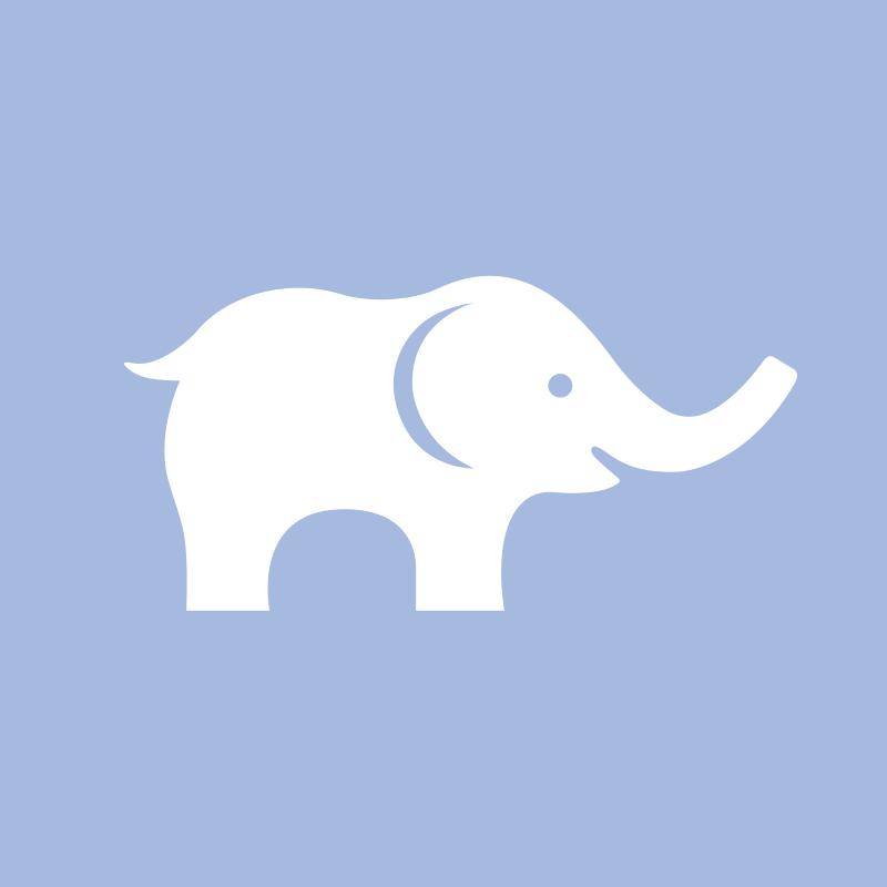 戴维贝拉官方旗舰店@抖音