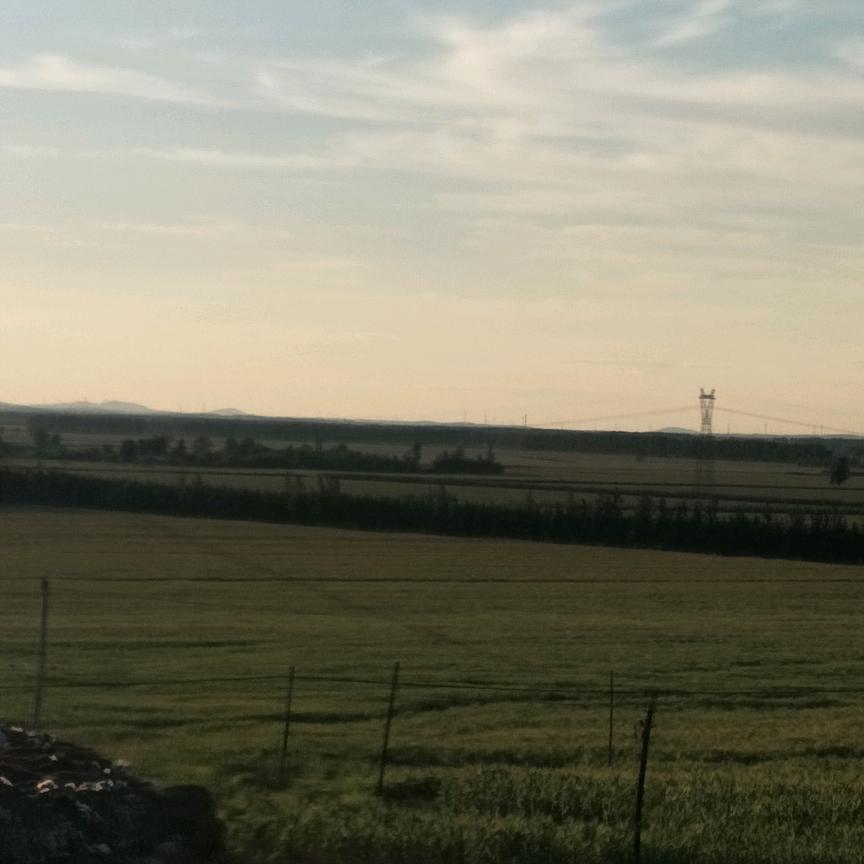 妈妈说名字长了就可以把美女姐姐读晕带回家