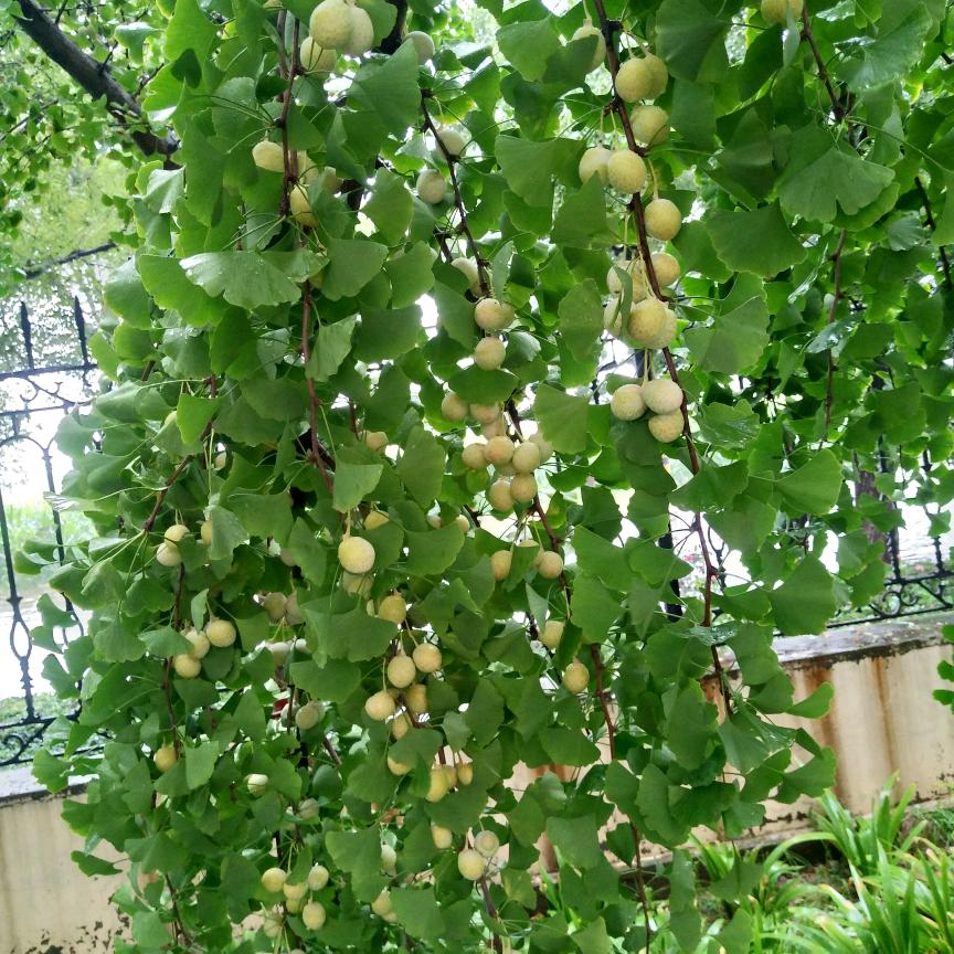 🐟🐟🐟鱼渔于