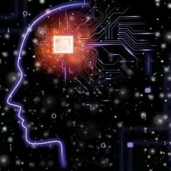 资深程序员matlab