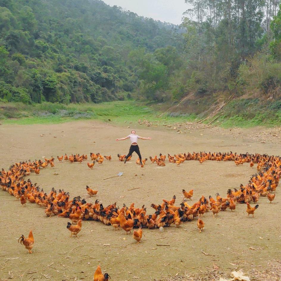 🐤平凡不忘初心🐤