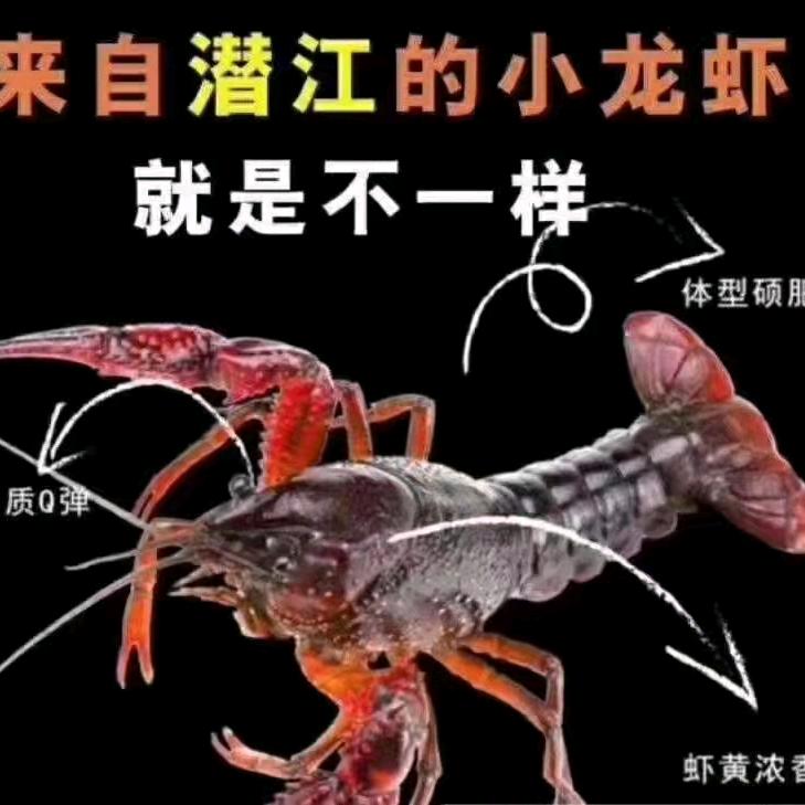 小徐水产/虎门富绅水产