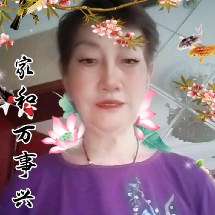 重庆三角梅紫香花海熊阿姨