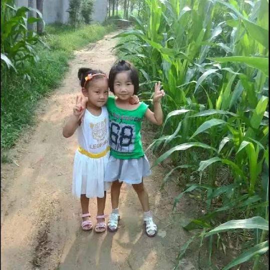 带你走进美食游乐