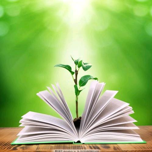 机械设计大师兄