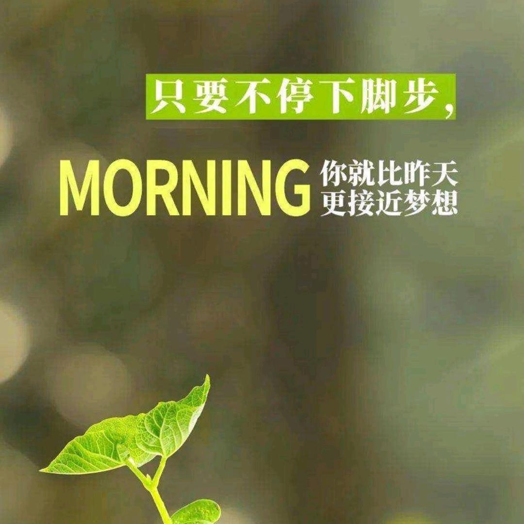 韶华¹¹⁰⁵