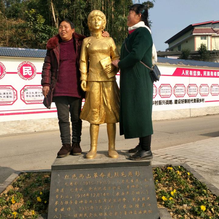 毛毛