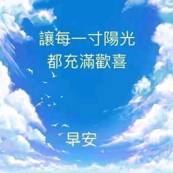 辉哥陪您做家政