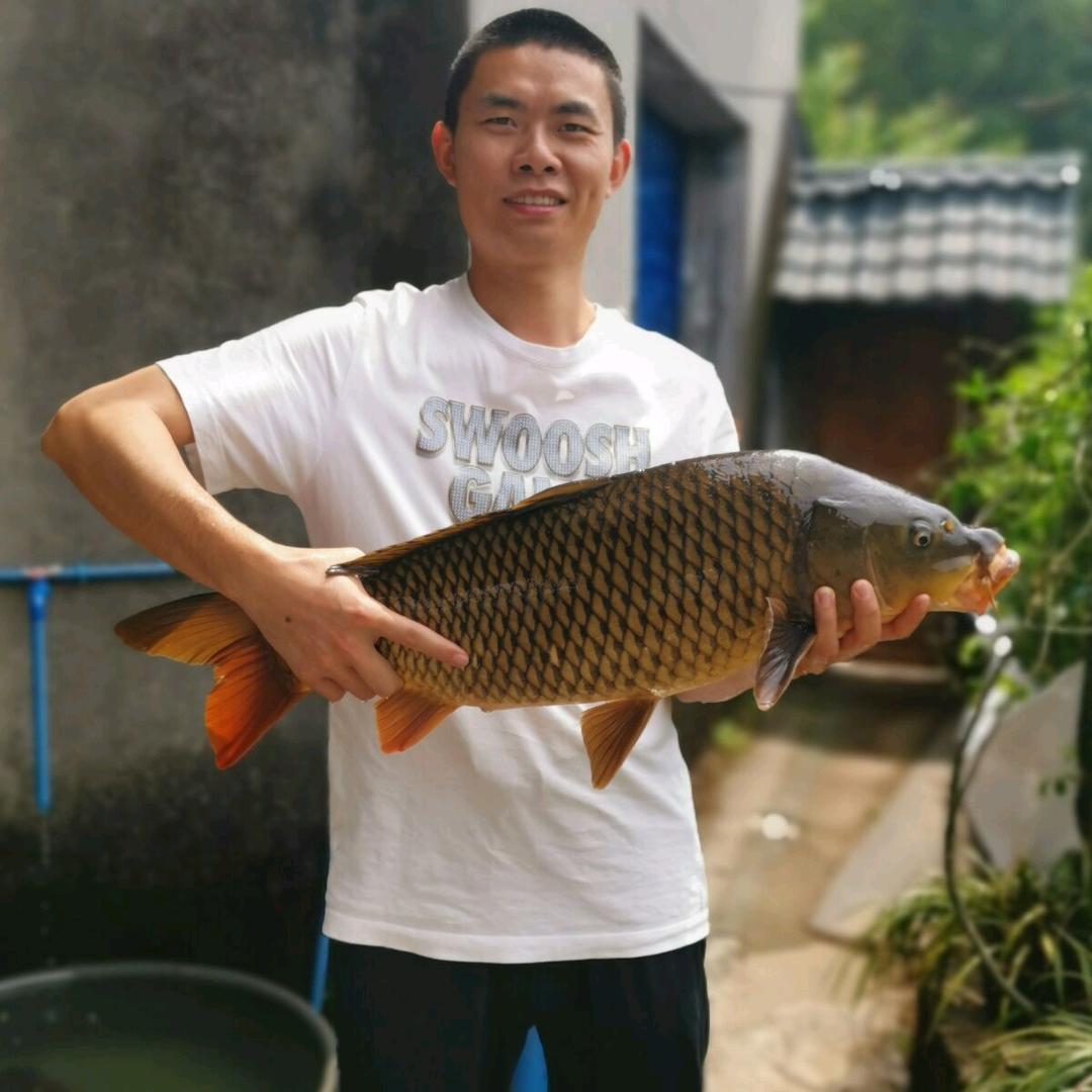 程果钓鱼