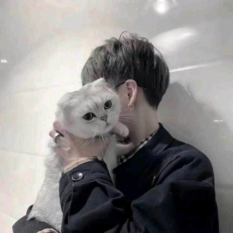 小柒