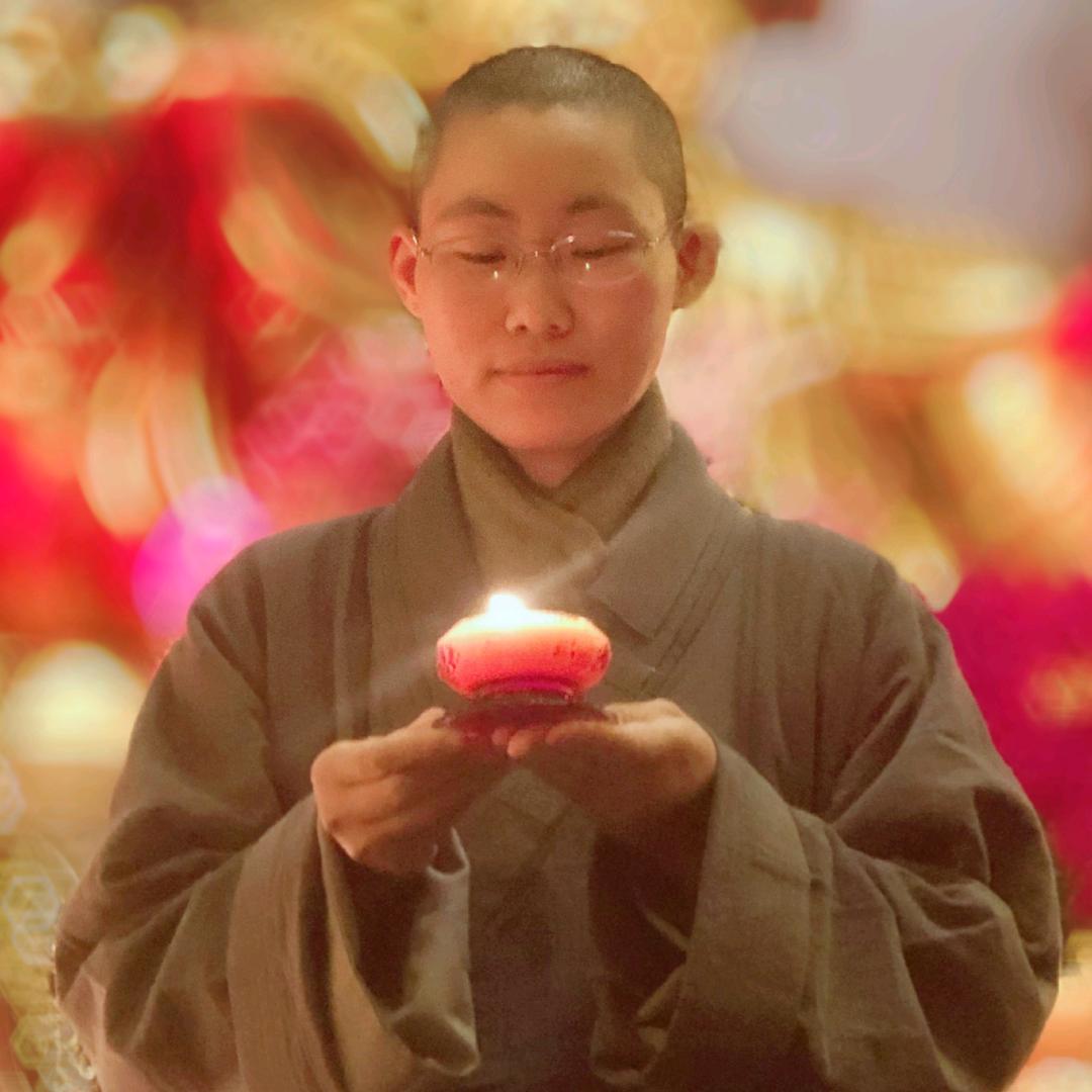 南山圆圆