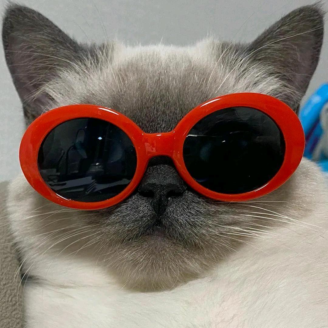 🌈十二知三🌈