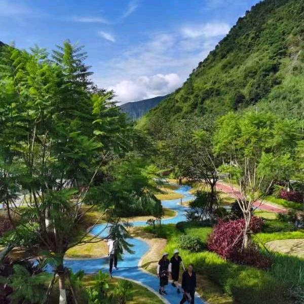 铿锵玫瑰坚强