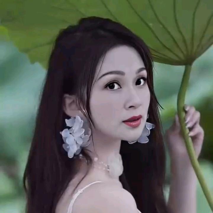 墨叶轻舞