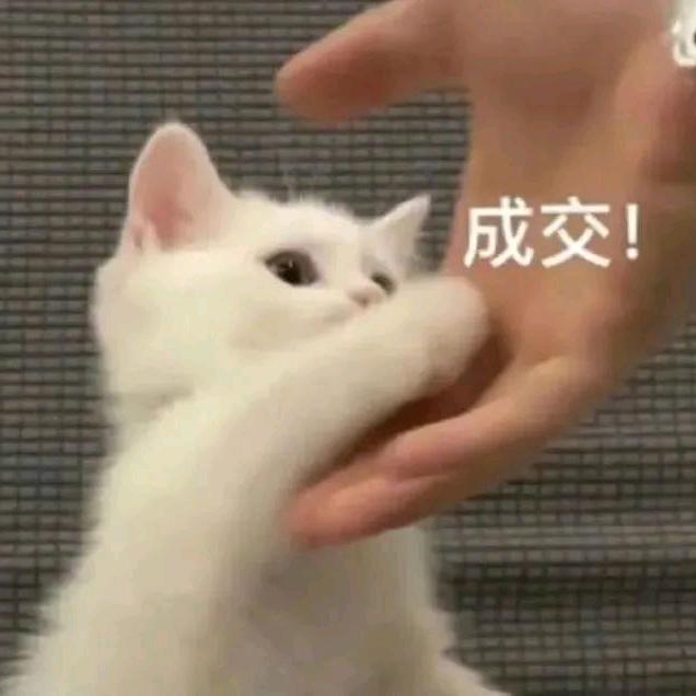 03扶墙对抗