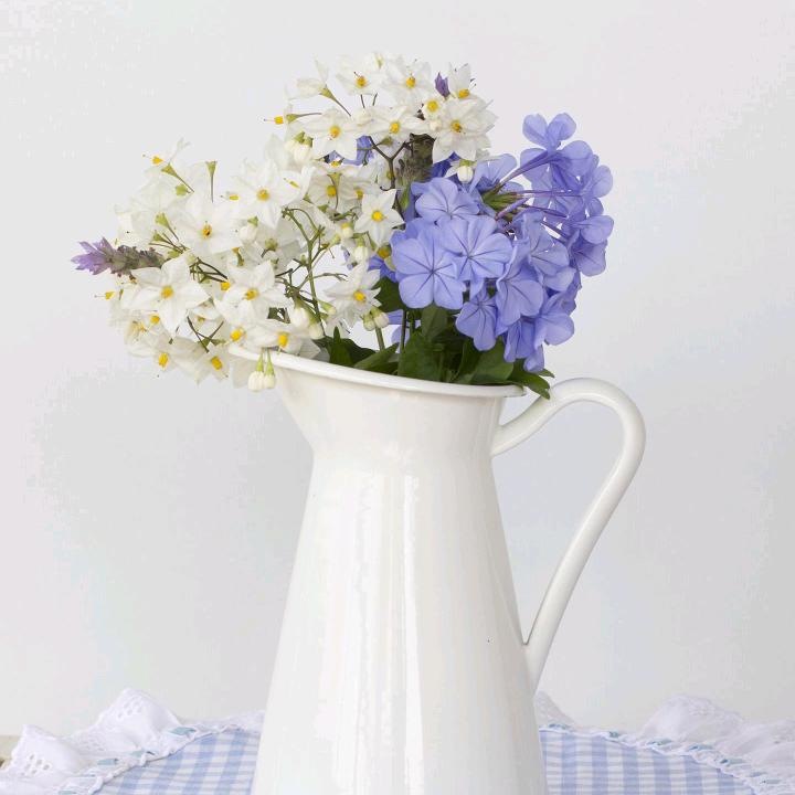 一帆风顺（重生）