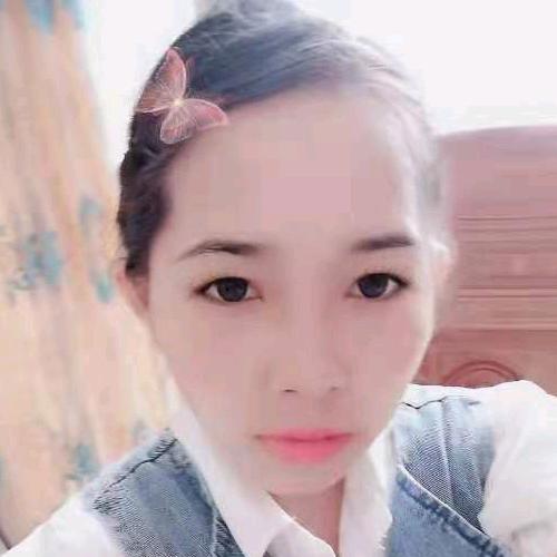 本小张