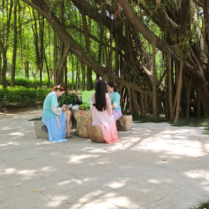 金山公园。
