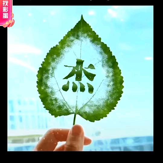 用户8790247835875花开花落