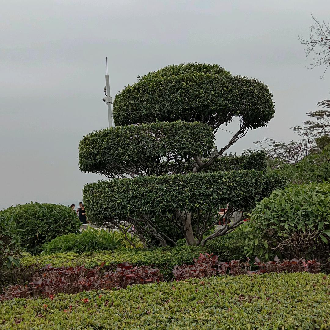 糊涂做人！理性做事！