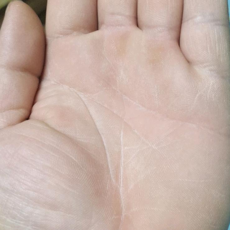 张航飞