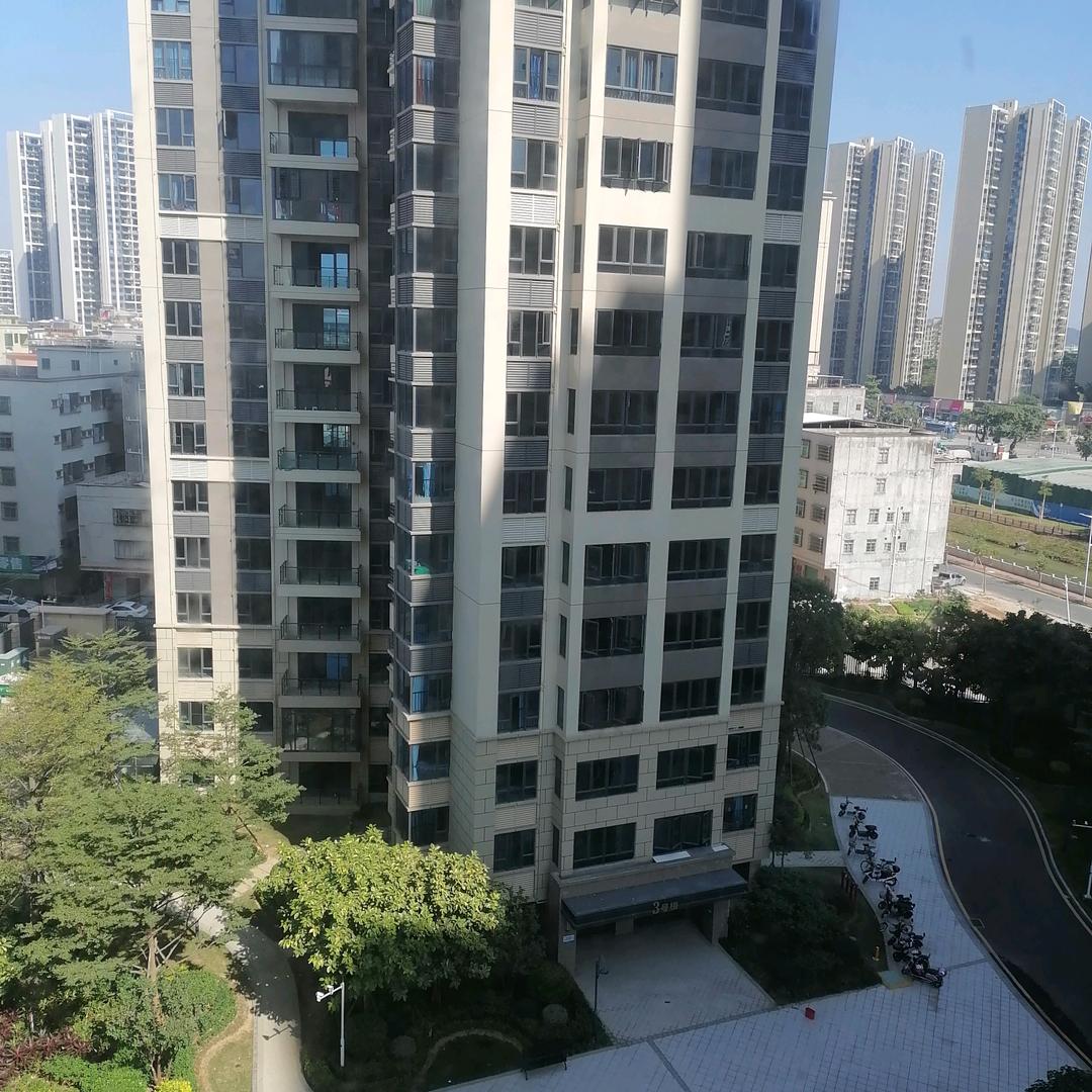 阳光哥