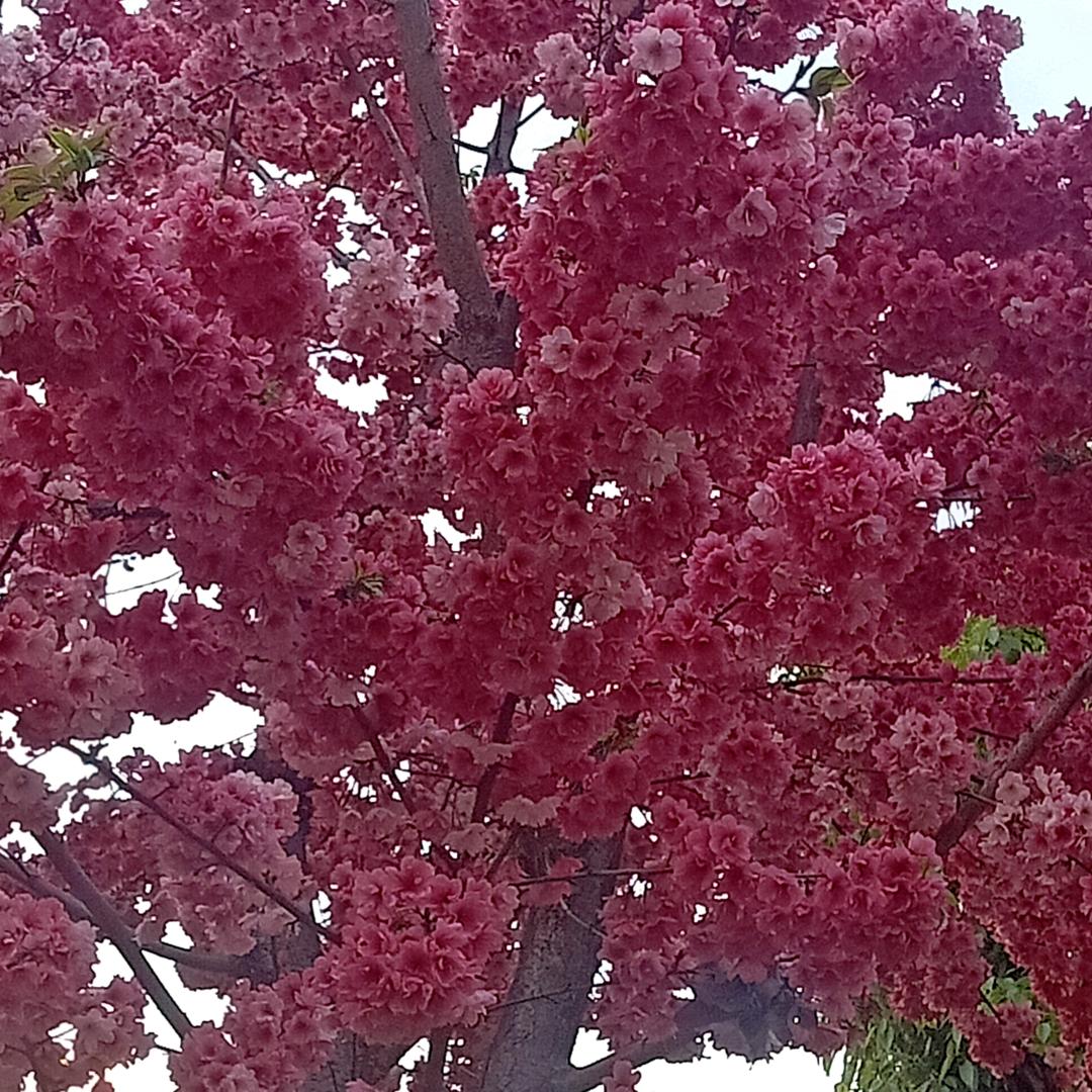 美好的时光倒流二十年