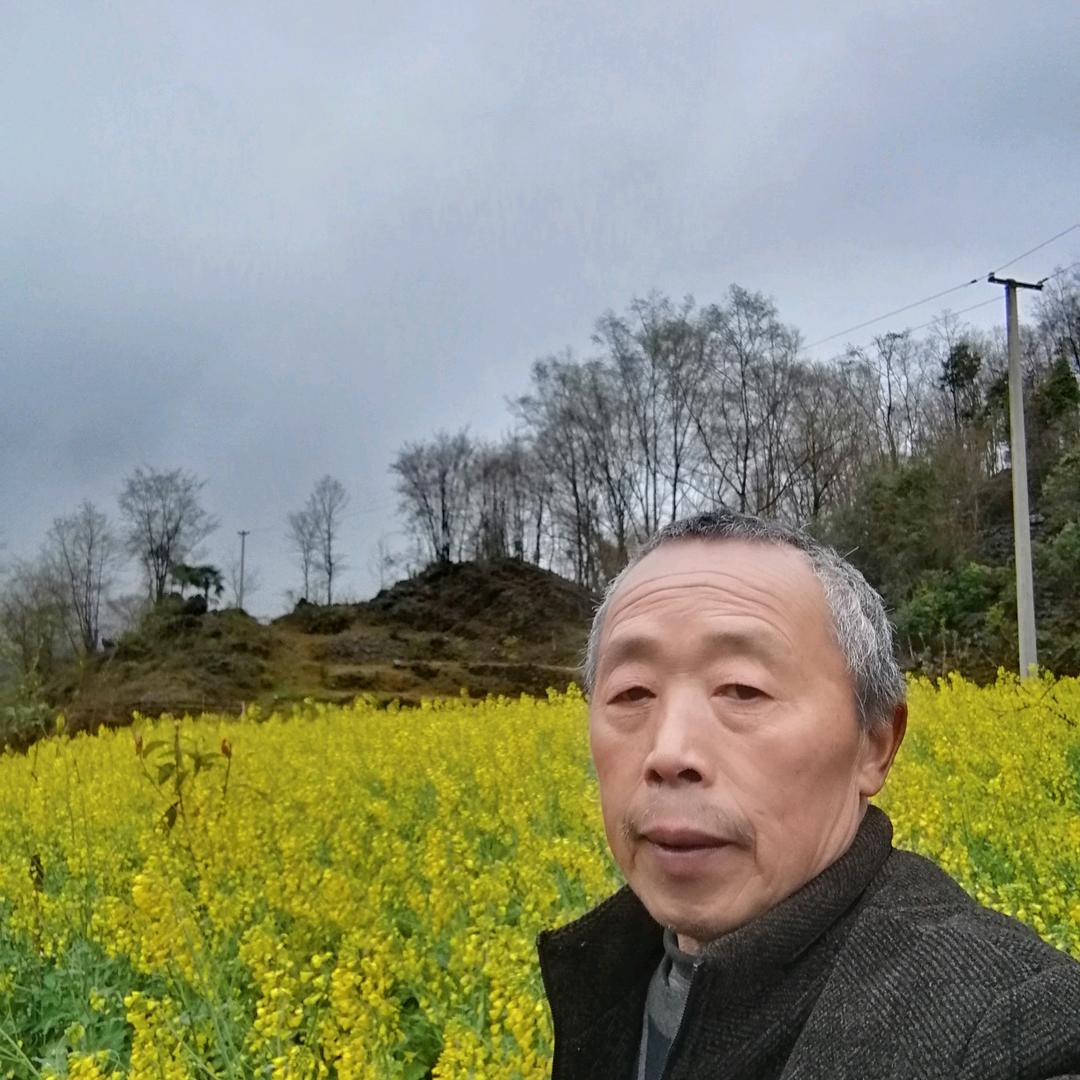 深山许哥