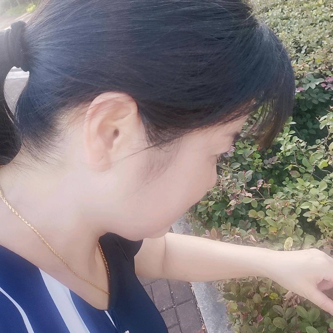 快乐的晓燕子