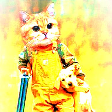 00000000
