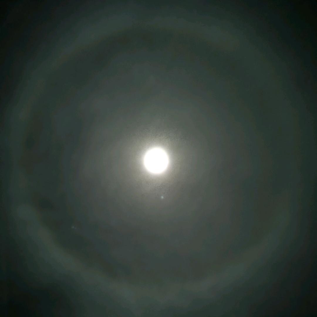 河庄坪产业联盟旭哥