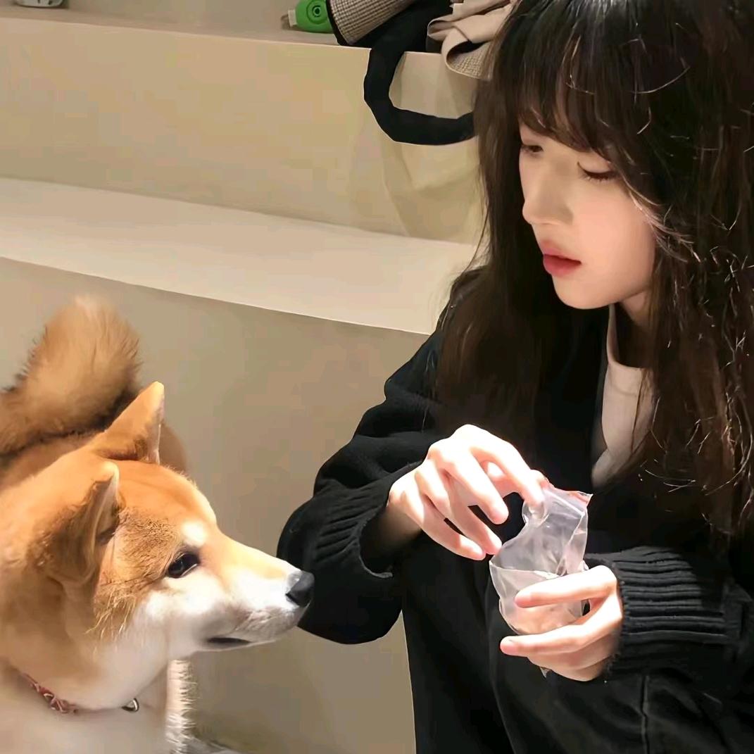 香菜小丸子