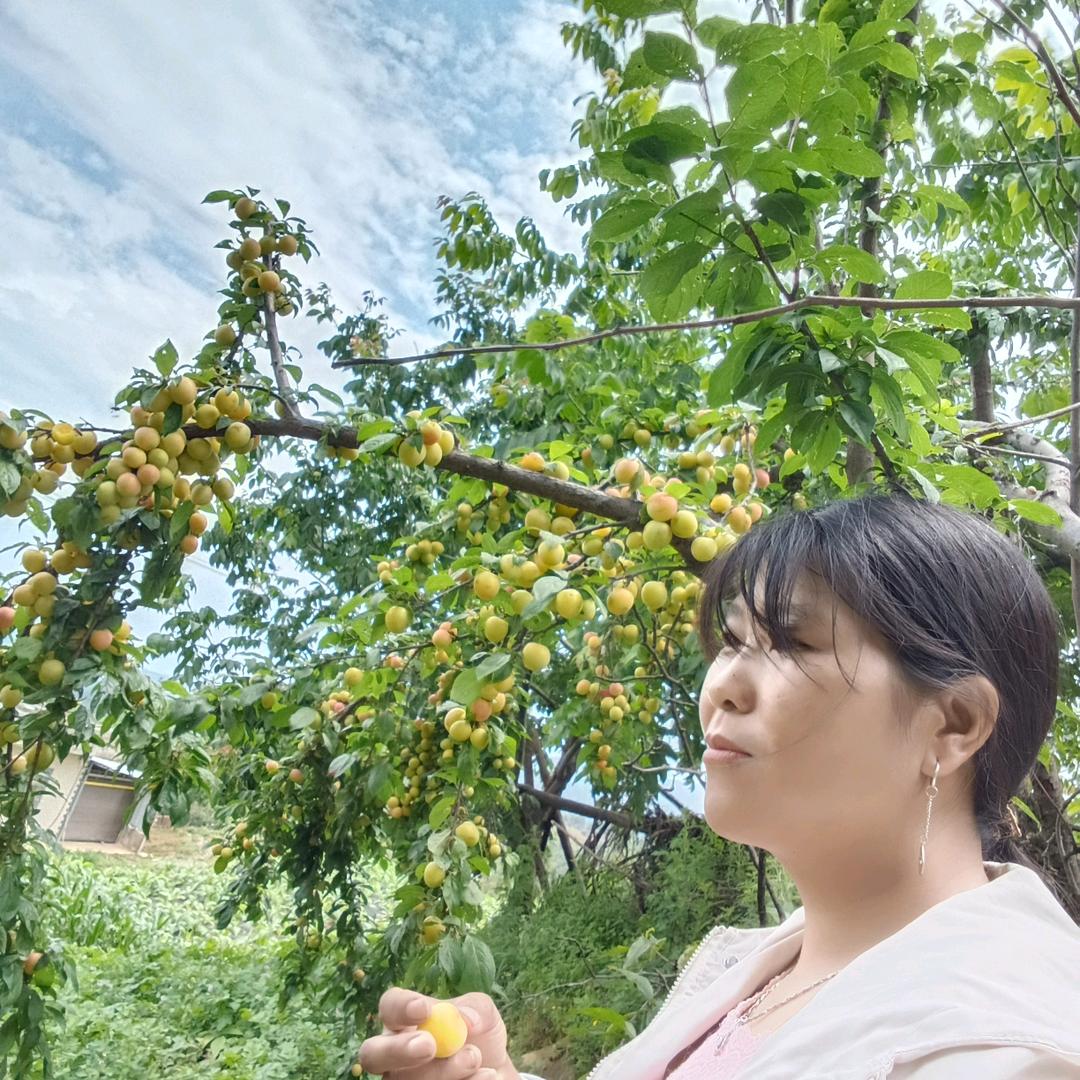 命中固定在农村