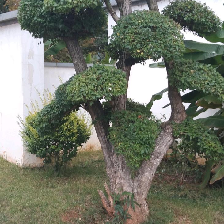 瑞祥农机修理