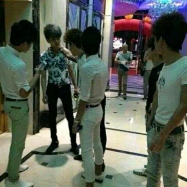 爱心志愿马娘初