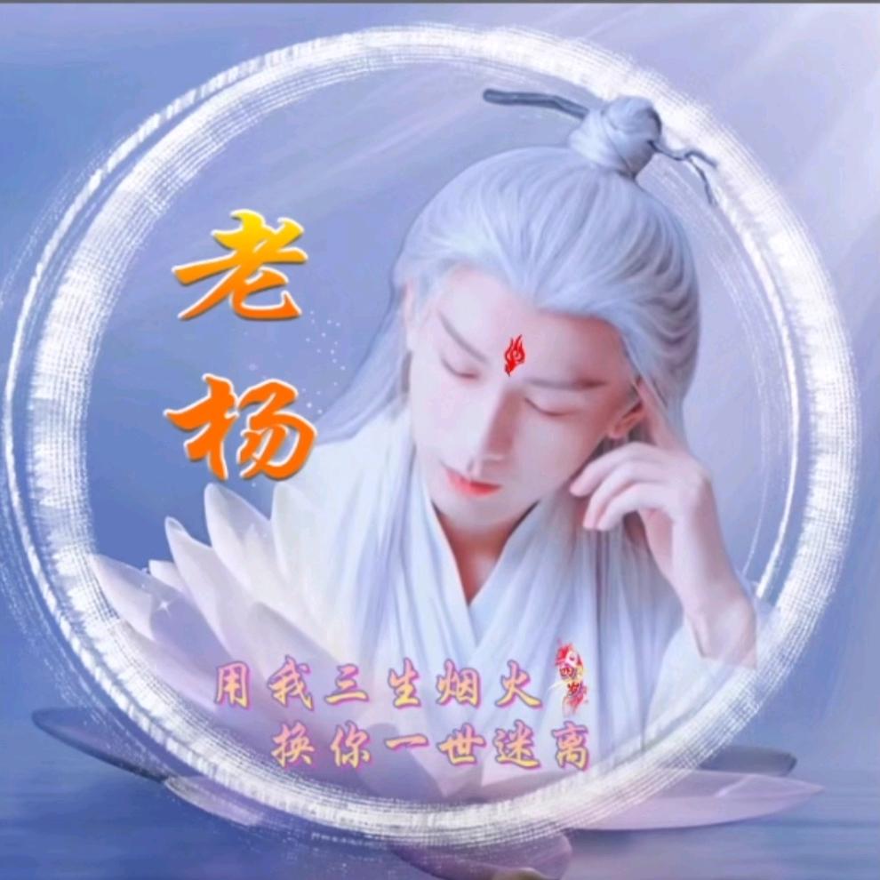 佬杨