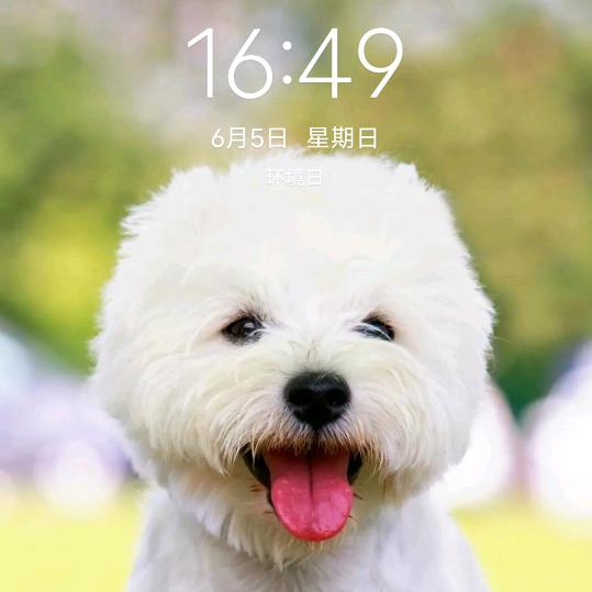 忘记
