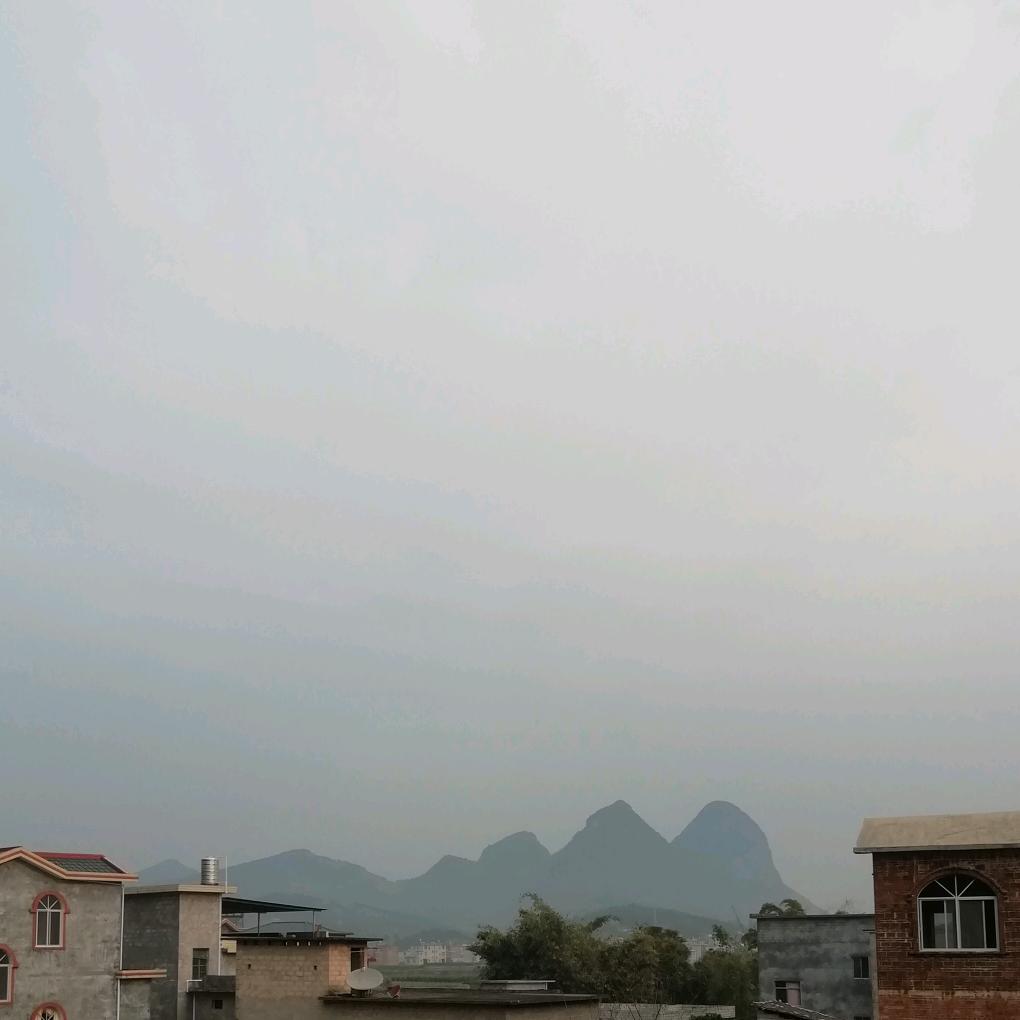 一行鸿雁落吾家