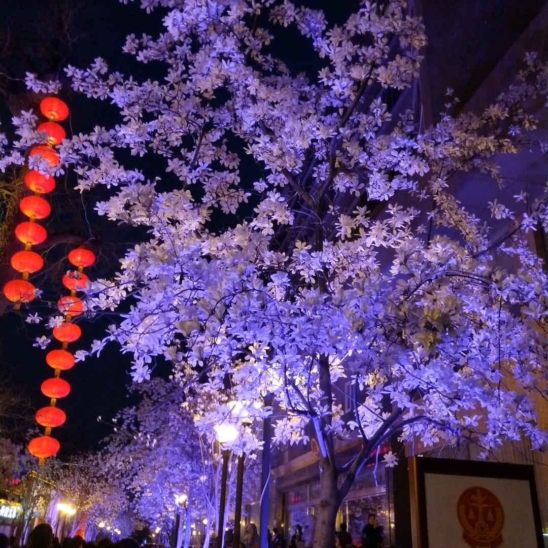 摘星不得