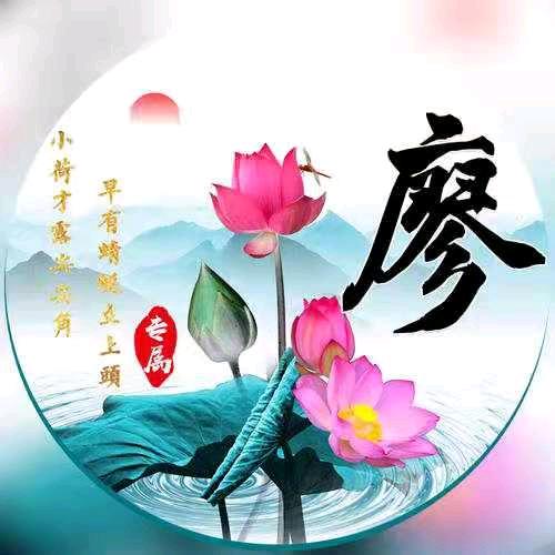 皮特廖
