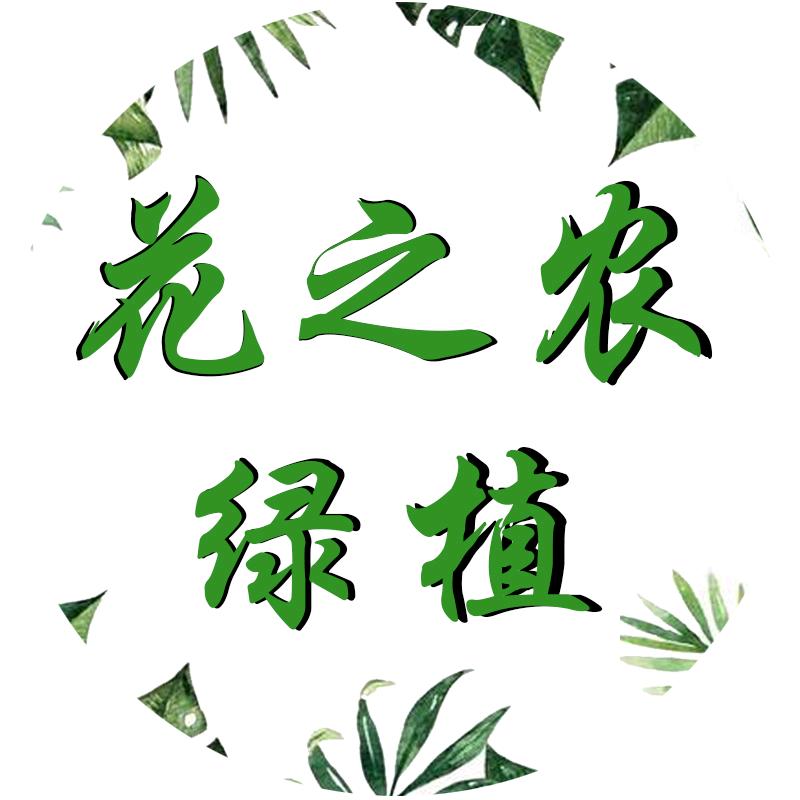 花之农绿植基地