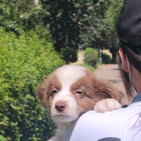 传闻中的二公主👸🏻